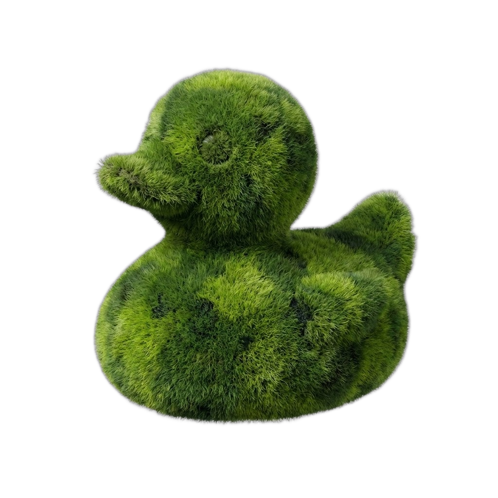Moss Duck