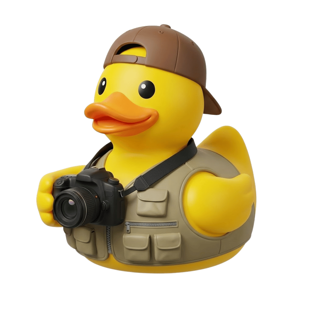 Photographer Duck